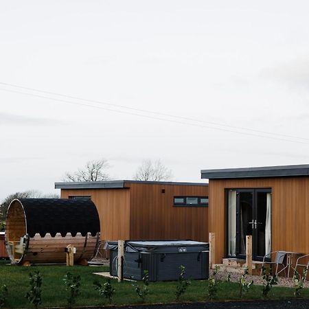 Slemish Hideaway - Funky Pheasant Villa Broughshane Dış mekan fotoğraf